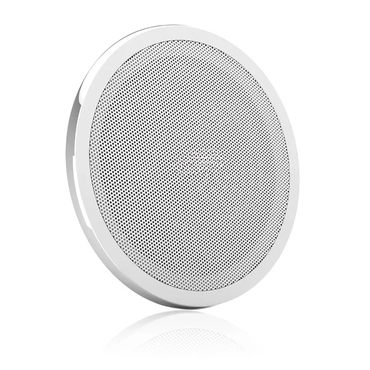 9.3 Inch Ultrasonic Sound Museum Pendant Hanging Focusing Sound Directional Speaker
