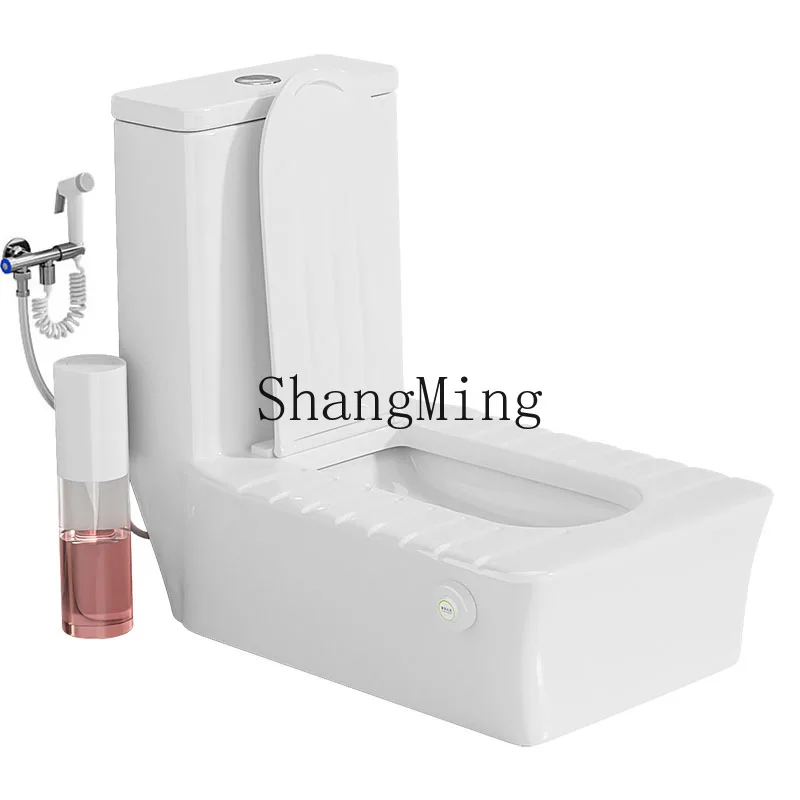 

ZYH Household toilet squatting toilet, no stacking table, no digging pits, no settlement in squatting pits