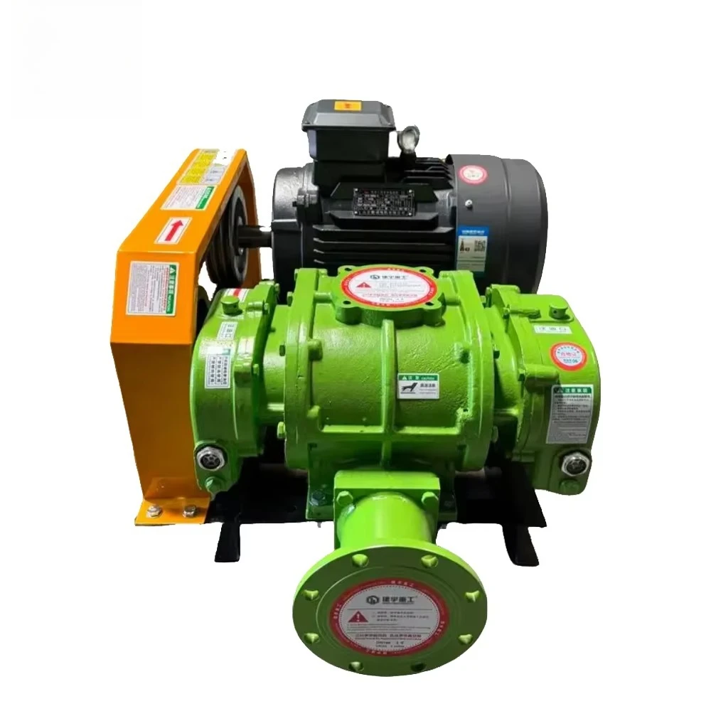 

Customized Vacuum Pump Negative Pressure Roots Vacuum Pump Factory Price