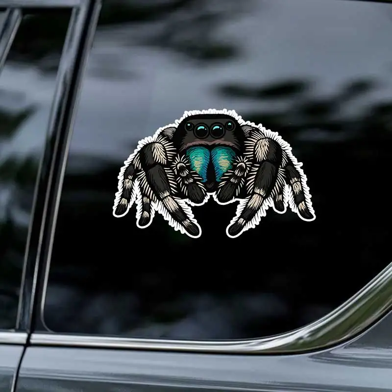 Cute Spider Car Sticker Vinyl Decal Waterproof Rear Window Motorcycle Camper Bumper Truck Laptop Decoration SH1627 3