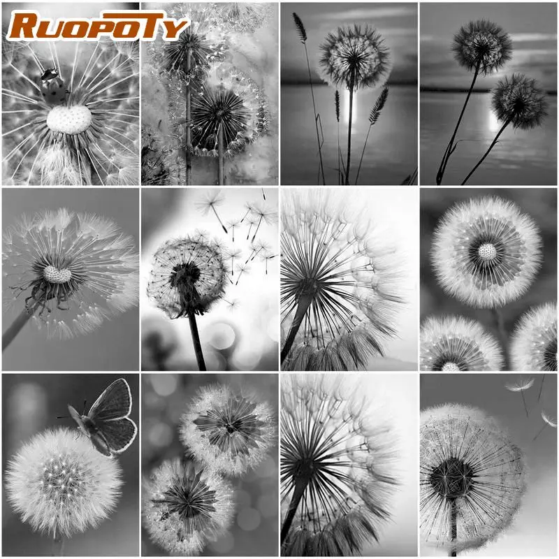 RUOPOTY Artistics Painting By Numbers Black White Dandelion Handpainted Paint By Numbers Plant Painting Artwork