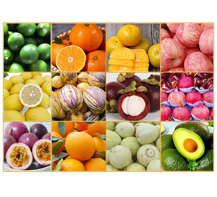 Industrial Citrus Fruit Packing Machine Fruit  Packing Machine Single Lemon Orange Wrap Packaging Machine