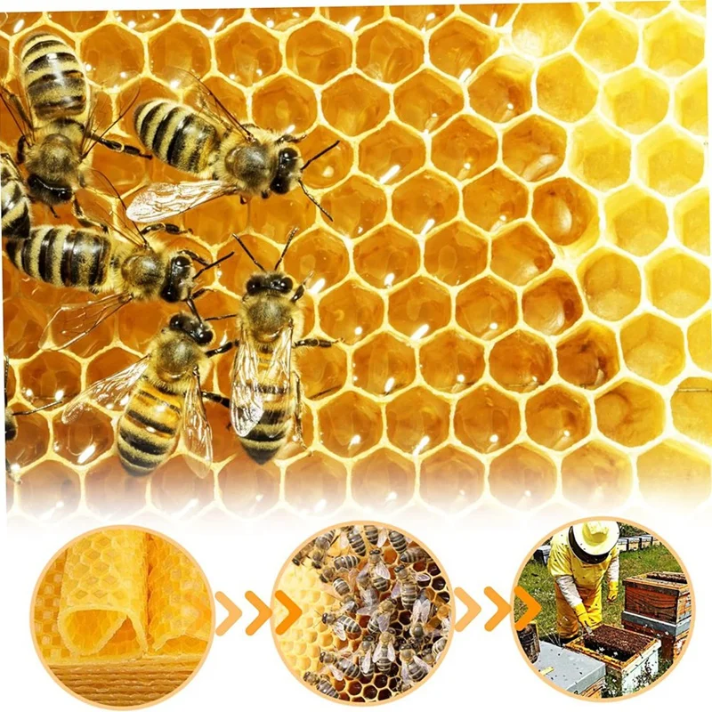 Beeswax Sheets Beeswax Foundation Sheets Wax Foundation For Bee Frames Natural Honeycomb Sheets Beeswax Sheets