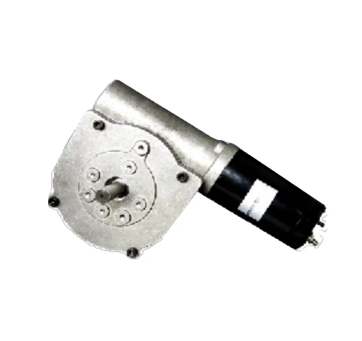 12V 24V Worm Gear DC Brushed Motor for Upper and Lower Limb Rehabilitation Machine Parking Lock