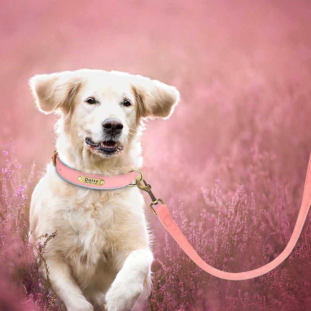 Set aus Hundehalsband und Leine aus PU-Leder, weiches, langlebiges Hundehalsbänder aus schlichtem Leder, 1,5 m Blei, verstellbar, für kleine, mittelgroße Hunde, Mops – Detail 22