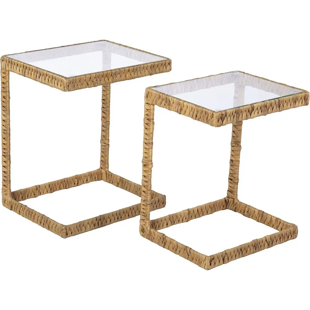 

Natural 2-Piece Water Hyacinth Coffee Table Set