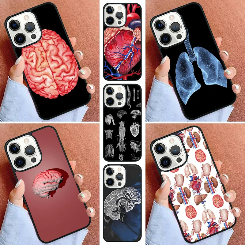 Organi umani medici Cervello Rene Cassa del telefono per iPhone 17 Air 16 15 16e 14 Pro Max 11 13 12 Max Plus Cover Capa