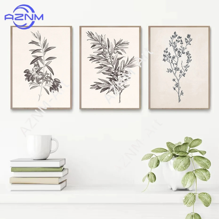 Póster con Dibujo de Ramas de Olivo, Flor de Manzanilla y Ajo, Impresión Vintage, Pintura en Lienzo Botánica para Decoración de Cocina