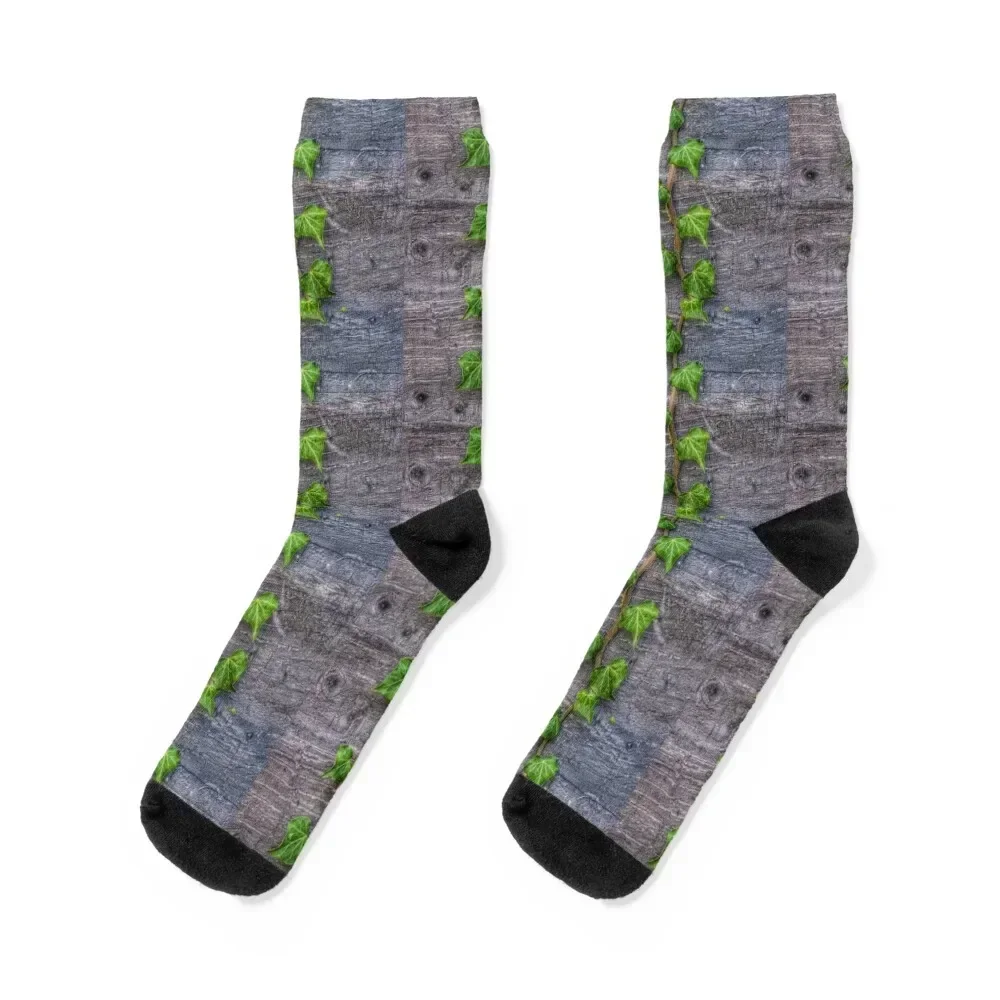 Ivy on Wood Wallpaper Socks Stockings compression funny sock ankle floral Women Socks Men's