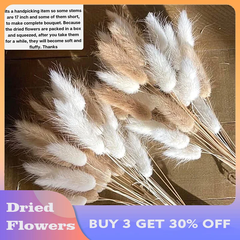 

(BUY 3 GET 30% OFF)60Pcs Bunny Tails Pampas Grass Natural Dried Flowers for Wedding Decortaion Home Decor Boho Party Bouquet