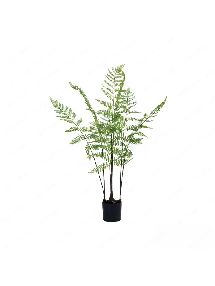 

Nordic Simulation Fern Green Plant Fern Plant Fake Trees Potted Living Room Decorations Bonsai