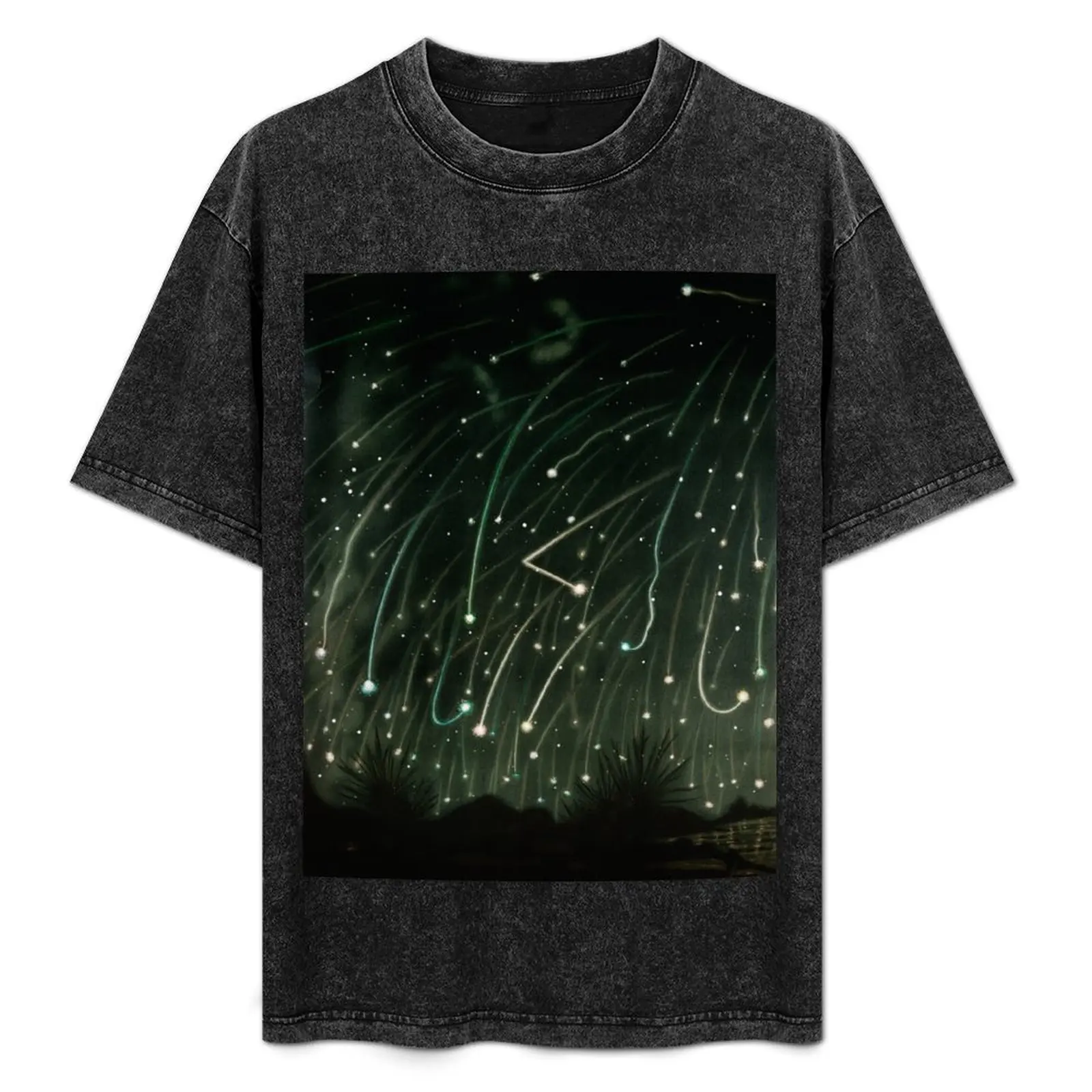 

The November Meteors (1882) Vintage Space T-Shirt oversize t-shirts man luxury designer Louboutins Short sleeve tee men
