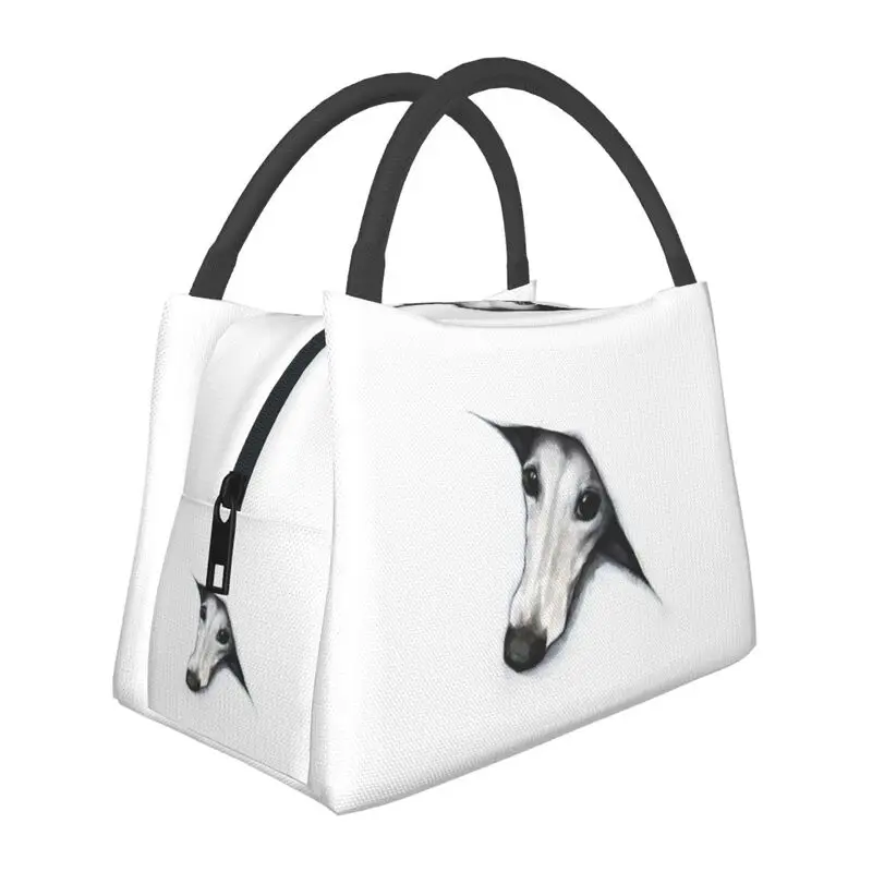Custom Daffodil Hound Dog Portable Lunch Box Leakproof Whippet Greyhound Cooler Thermal Food Insulated Lunch Bag Container