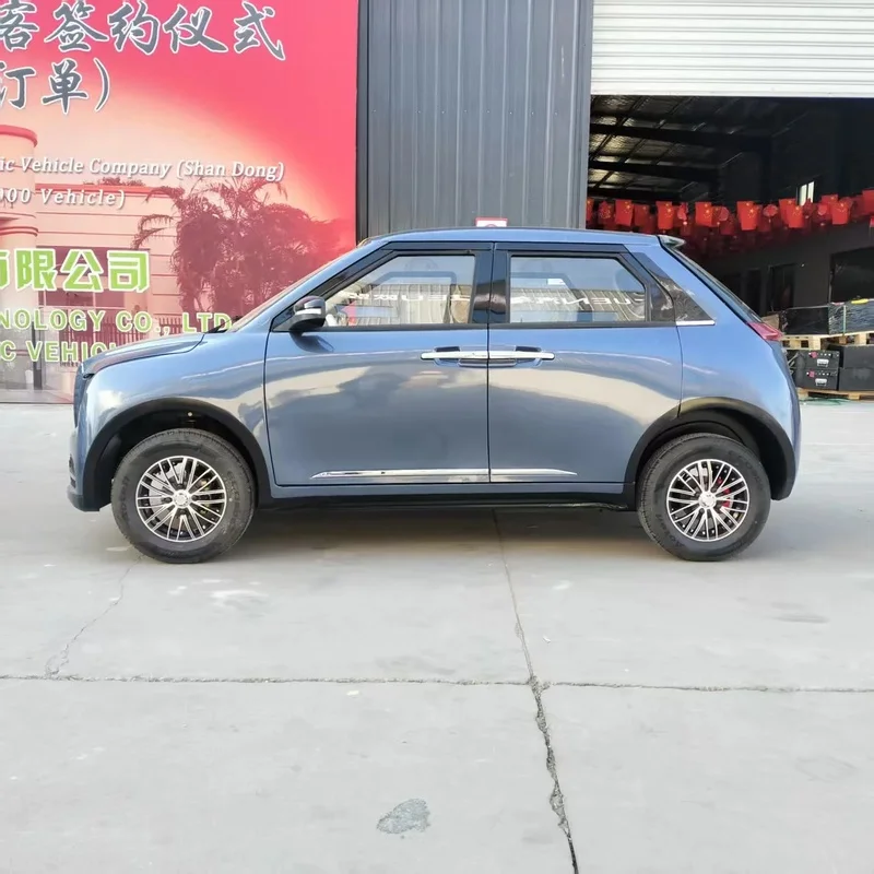 Made in China, Pure Electric, Dual-door, Beautiful Appearance, Large SUV