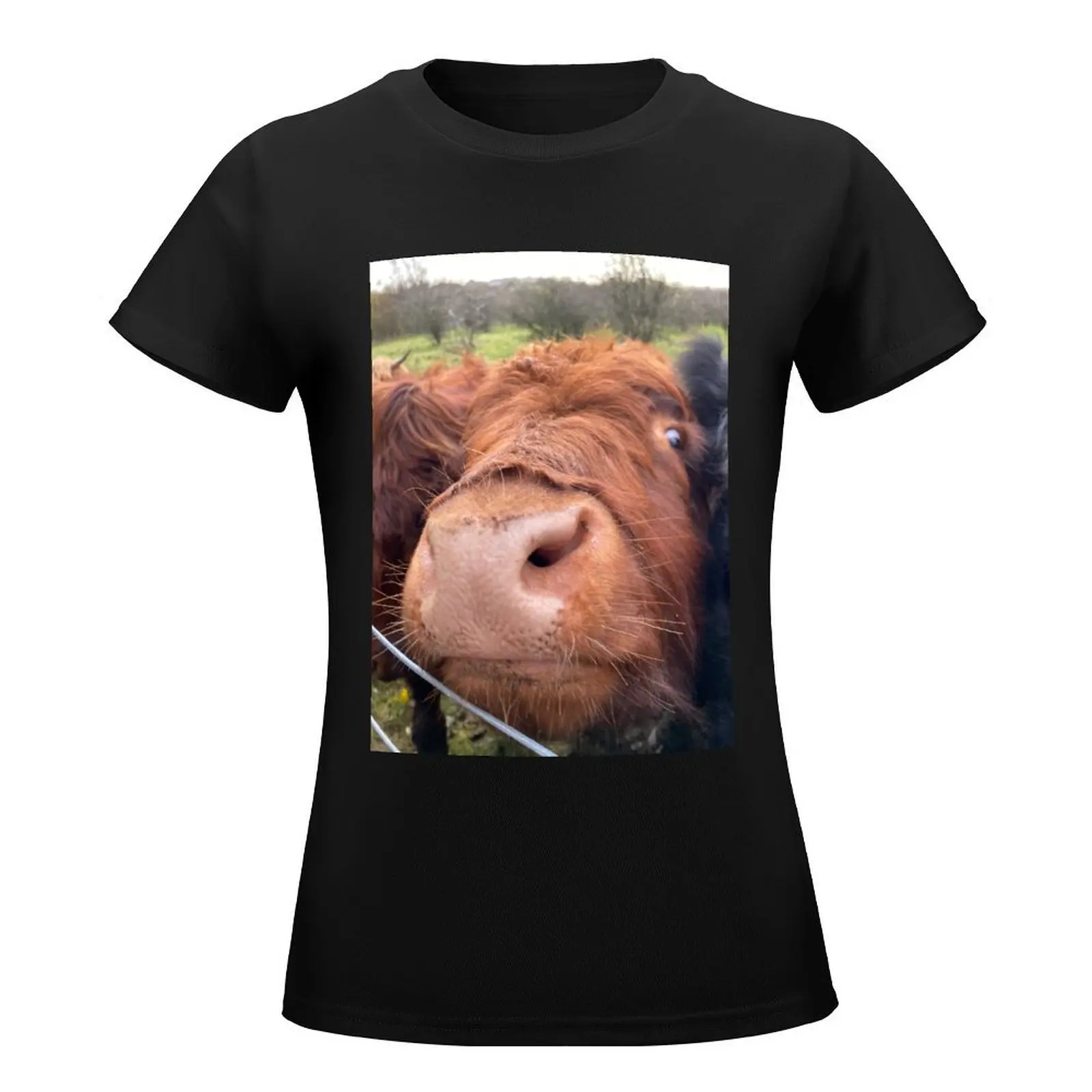 Highland coo T-Shirt Female clothing Aesthetic clothing tshirts for Women