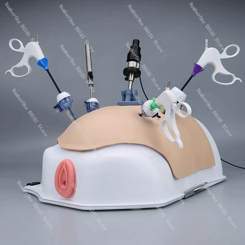 

Bionic laparoscopic simulator, gynecological surgery emulator