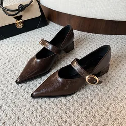 Fashion Low Heel New 2025 Spring Net Red Single Shoes Low Heel Slippers Mary Jane Lady Shoes Travel Shoes Ladies Large Size Shoe