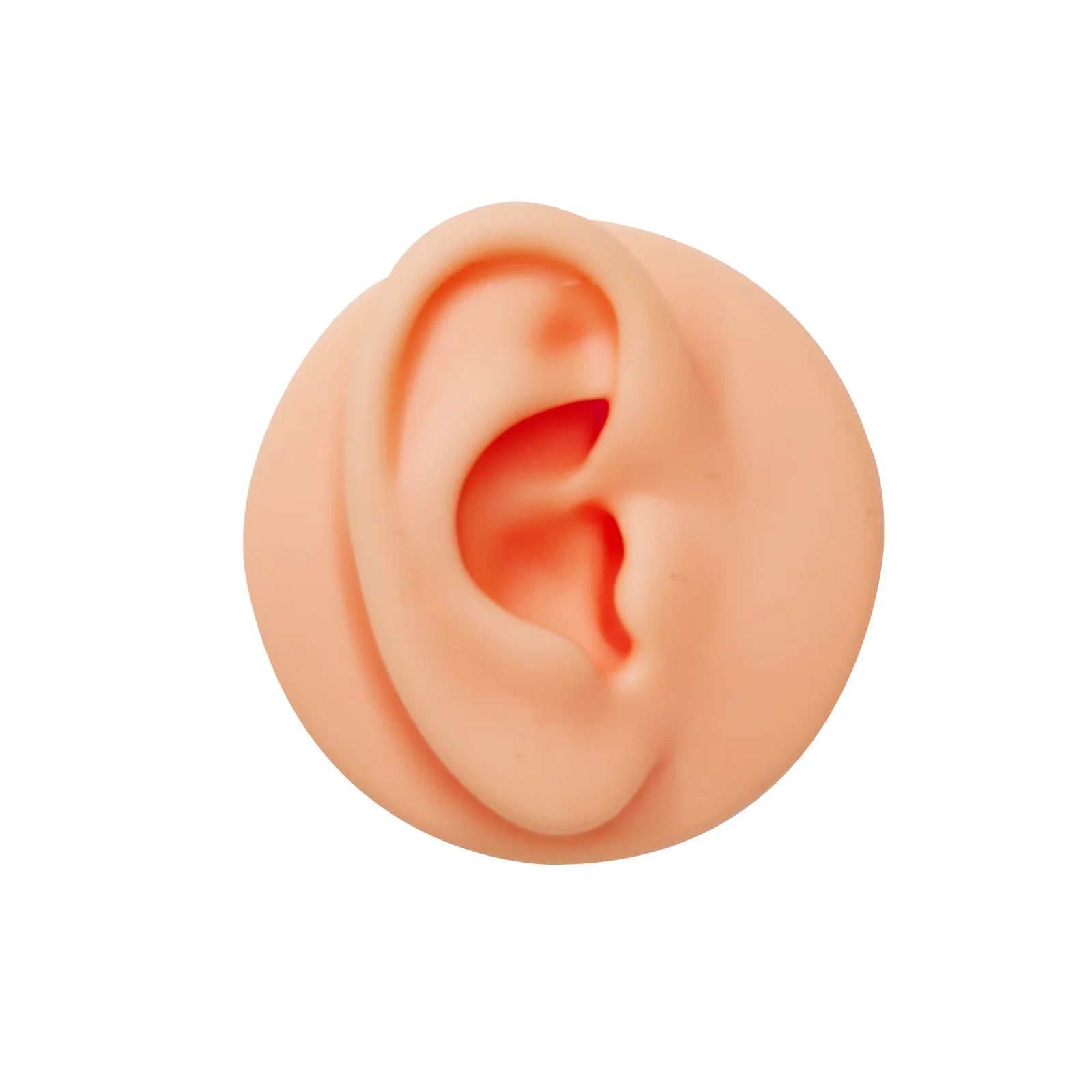 Simulate Gui 'Jiao Five Sense Organs Model Perforation, Left and Right Ear, Nose, Mouth, Navel, Tongue, Exercise Teaching Prop
