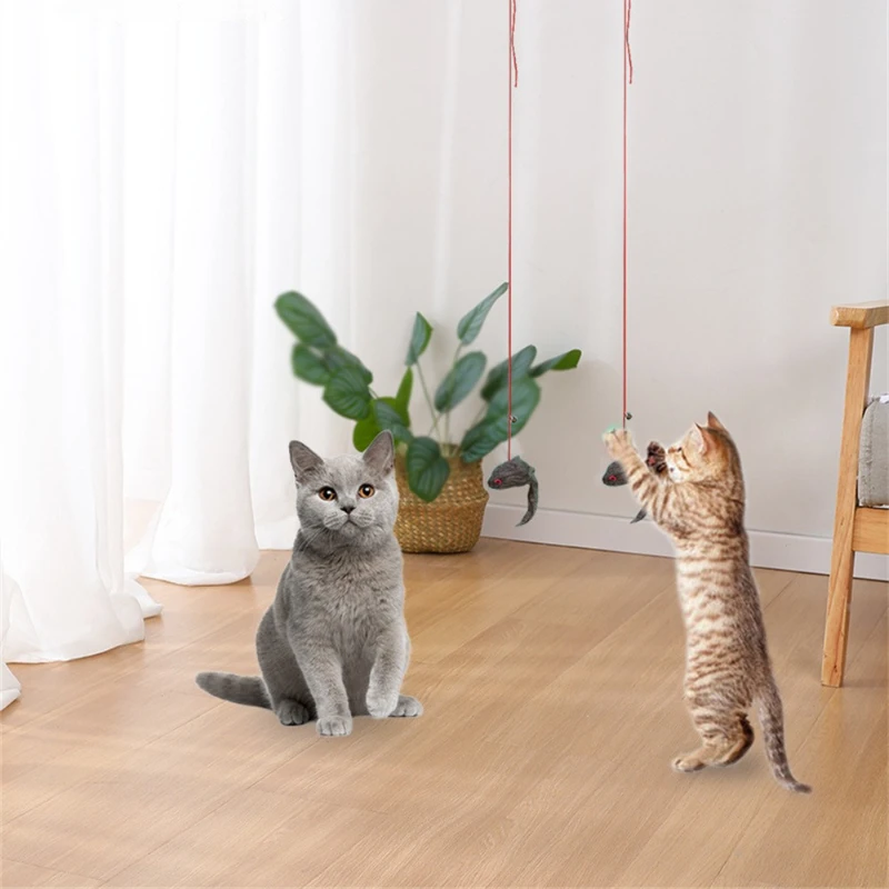 Funny Swing Toys for Cats Kitten with Elastic Rope Feather Insect Handfree Cat Toys Teaser Wand Pet Products for Dropshipping