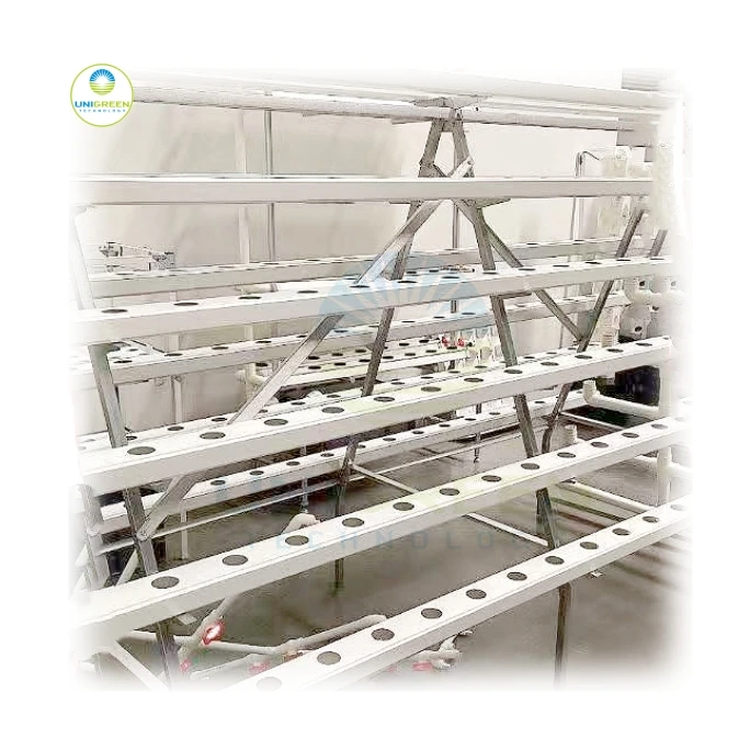 A Shape Hydroponic System Vertical  Kit With 60-300 Holes Tank Food Grade Hydroponics Multilayer Growing System for Lettuces