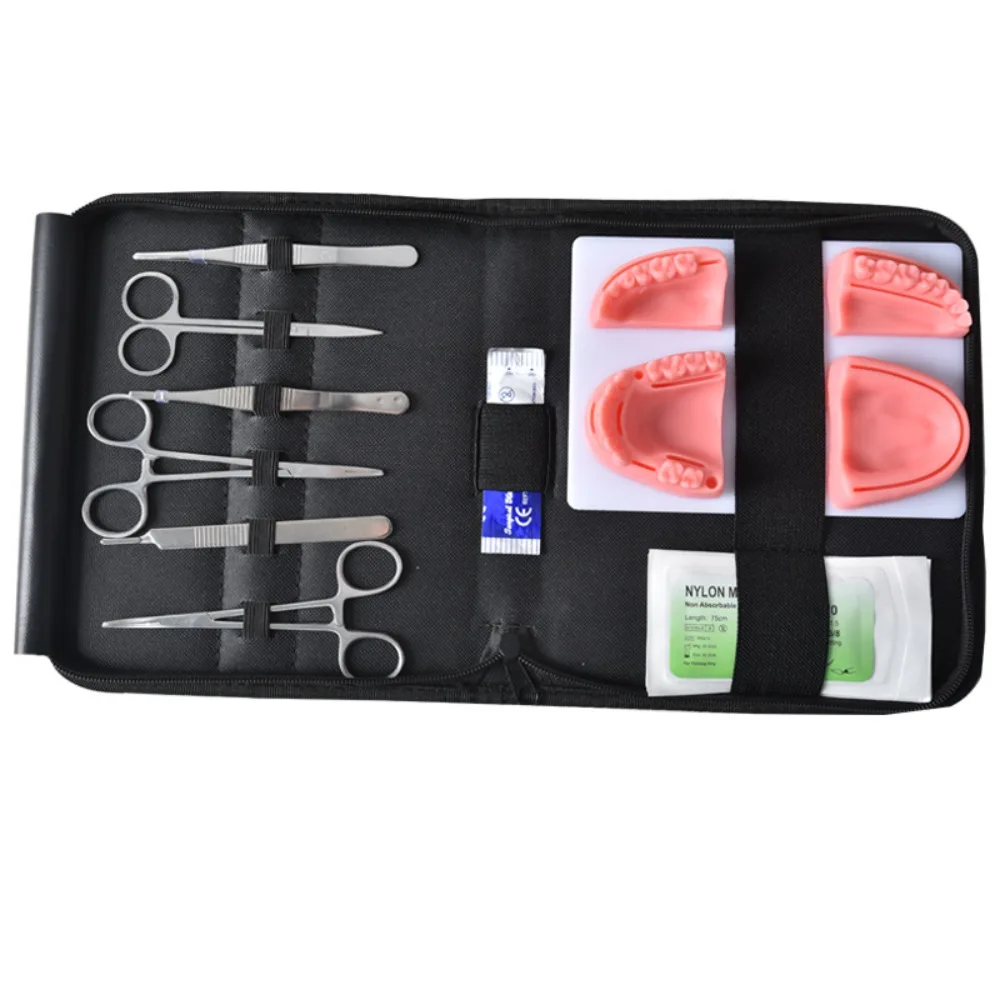 Рисунок 3 - Профессиональная практика обучения