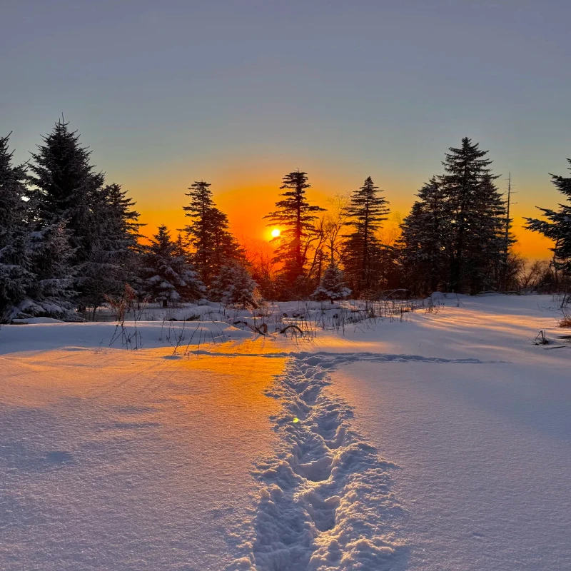 IFlight XING 2208 1800KV Unibell Motor - 4mm Titanium Shaft 2-6S Fit 5-Inch Prop FPV RC Brushless Motor