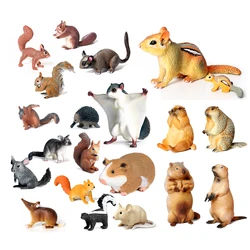 Realistic Wild Forest Animal Squirrel Opossum Marmot Chipmunk Groundhog Model Figures Educational Collection Gift Toy for Kids