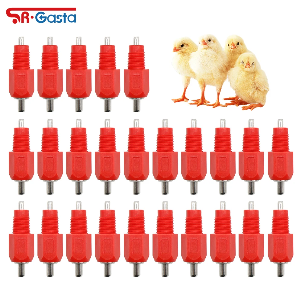 25 Pcs Chickensquar… - image