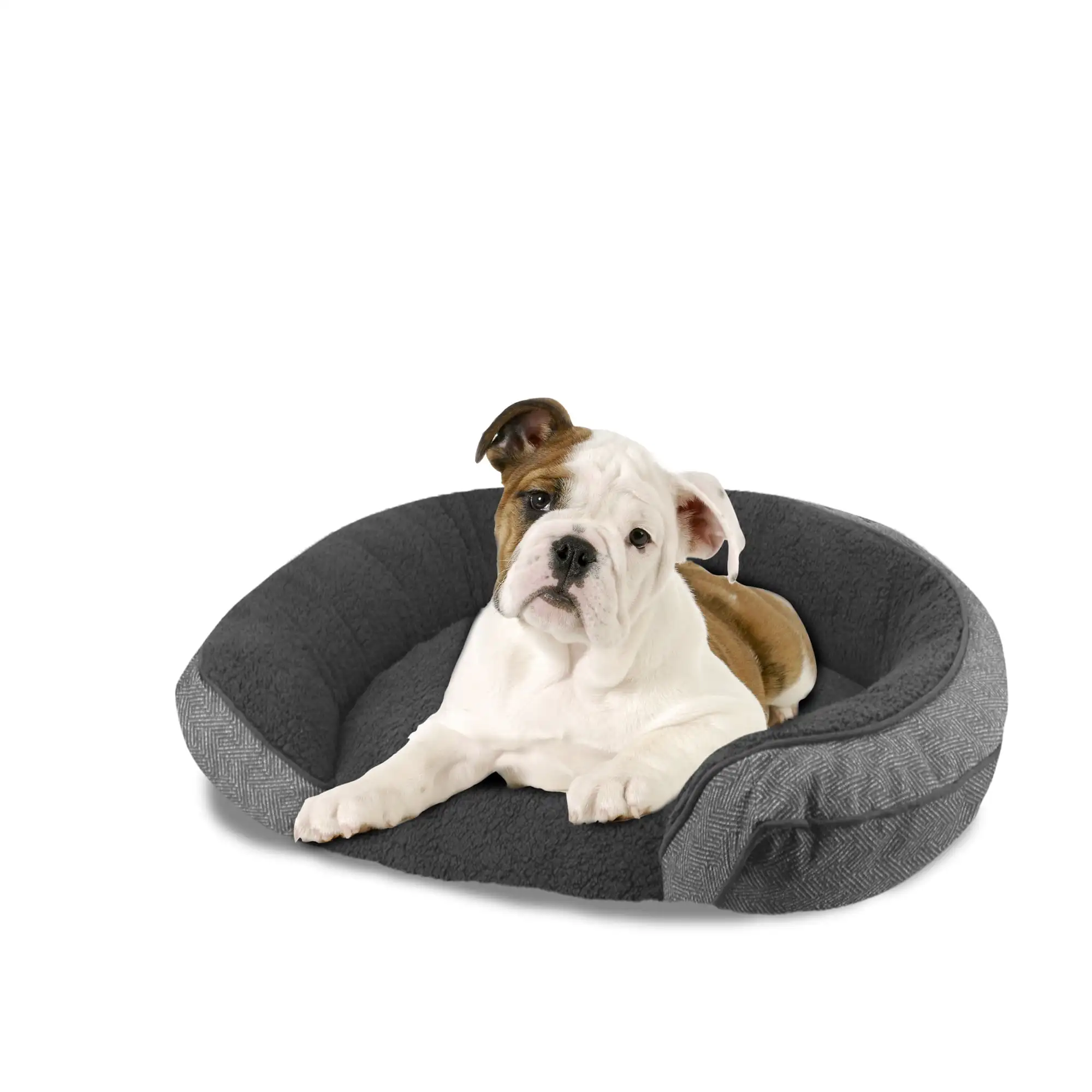 

Arlee Step in Orthopedic Chew Resistant Eco-Friendly Memory Foam Pet Bed