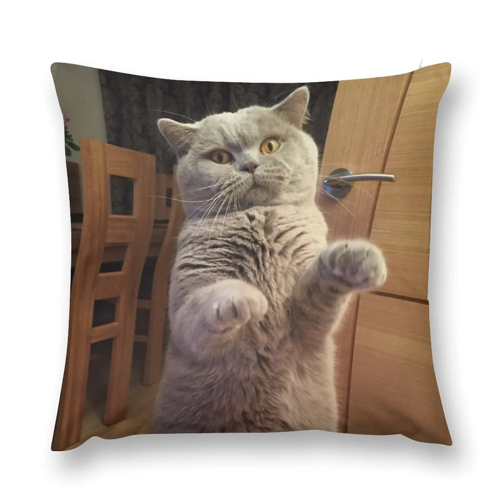 

British Shorthair cat Throw Pillow Plaid Sofa Luxury Pillow Cover pillow