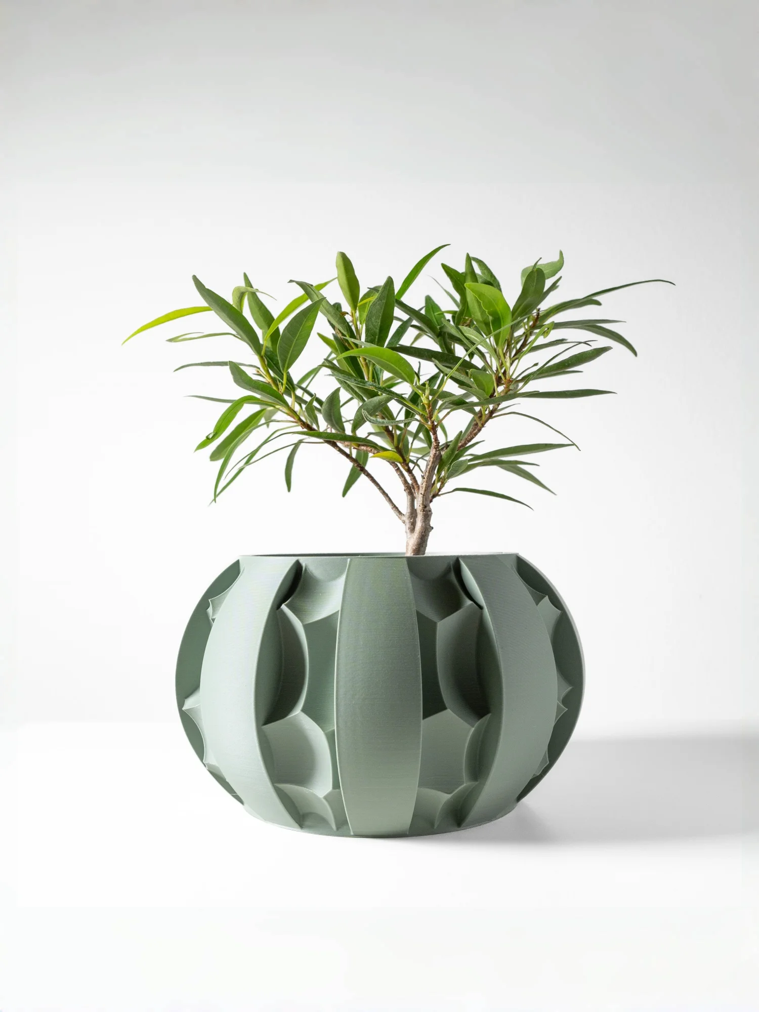 

Modern Minimalist 3D Printed Plant Pot – Biodegradable Flower Planter for Home Decor, Eco-Friendly Sustainable Gift (Erna)