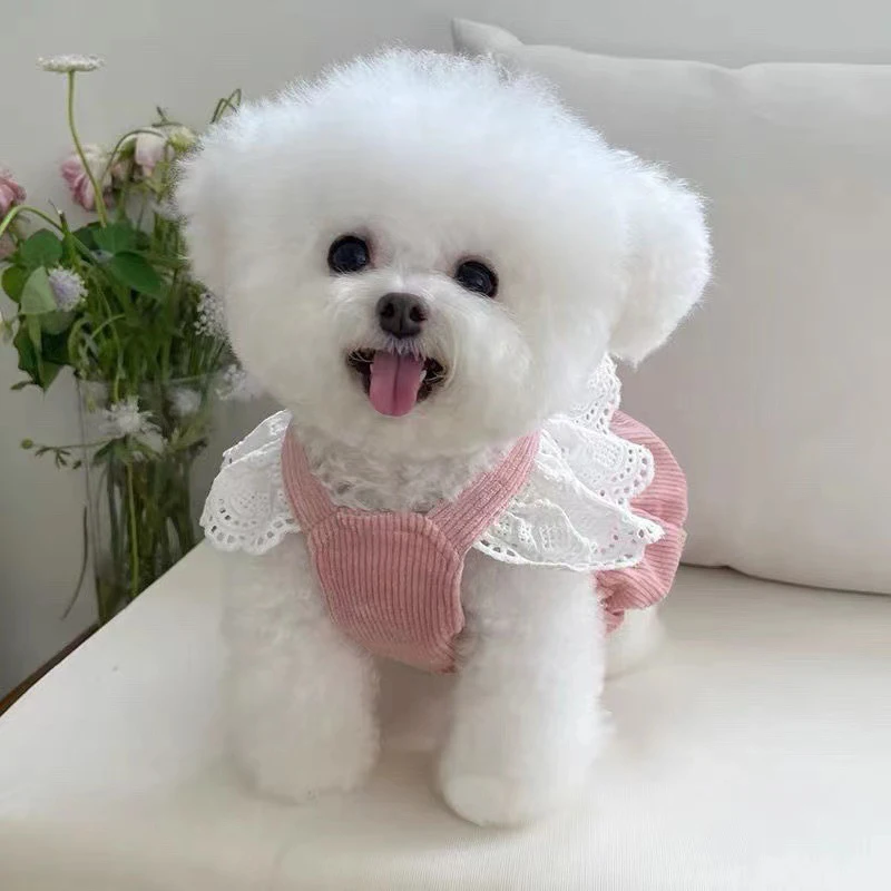 Autumn Winter Women's Dog Bow Corduroy Warm Princess Dress Beautiful Lace Skirt Dog Bow Dress Cat And Dog Clothes Puppy Outfit