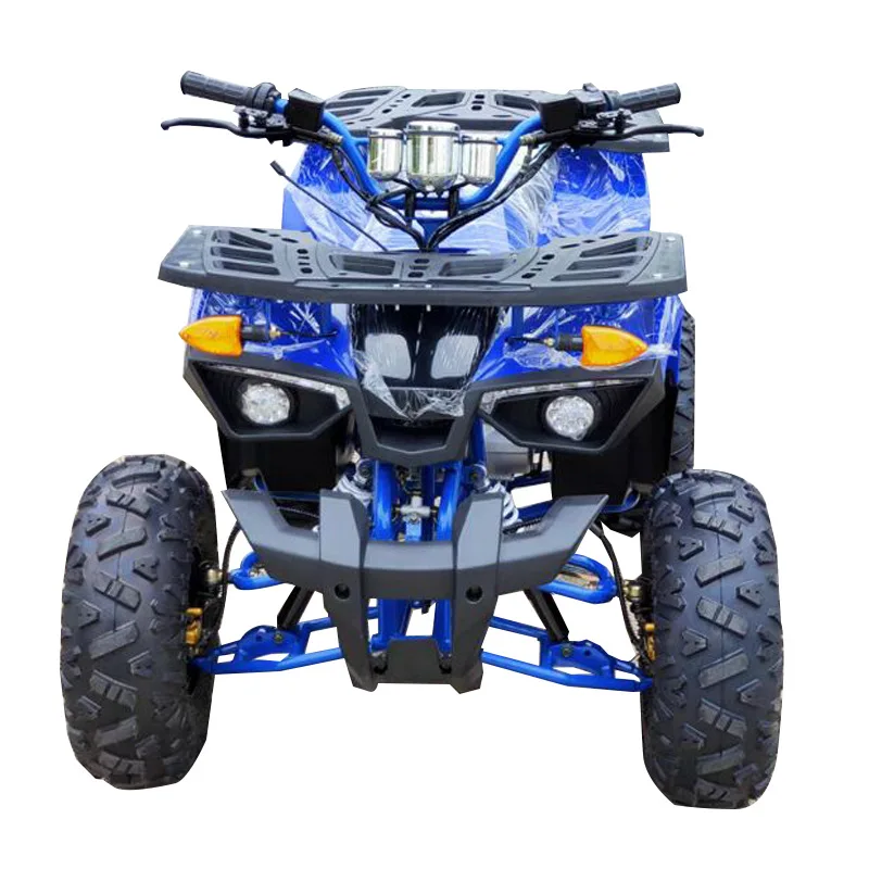 

All Terrain Quad Motorcycle Automatic ATV Scenic Rentals Adult ATV 125CC
