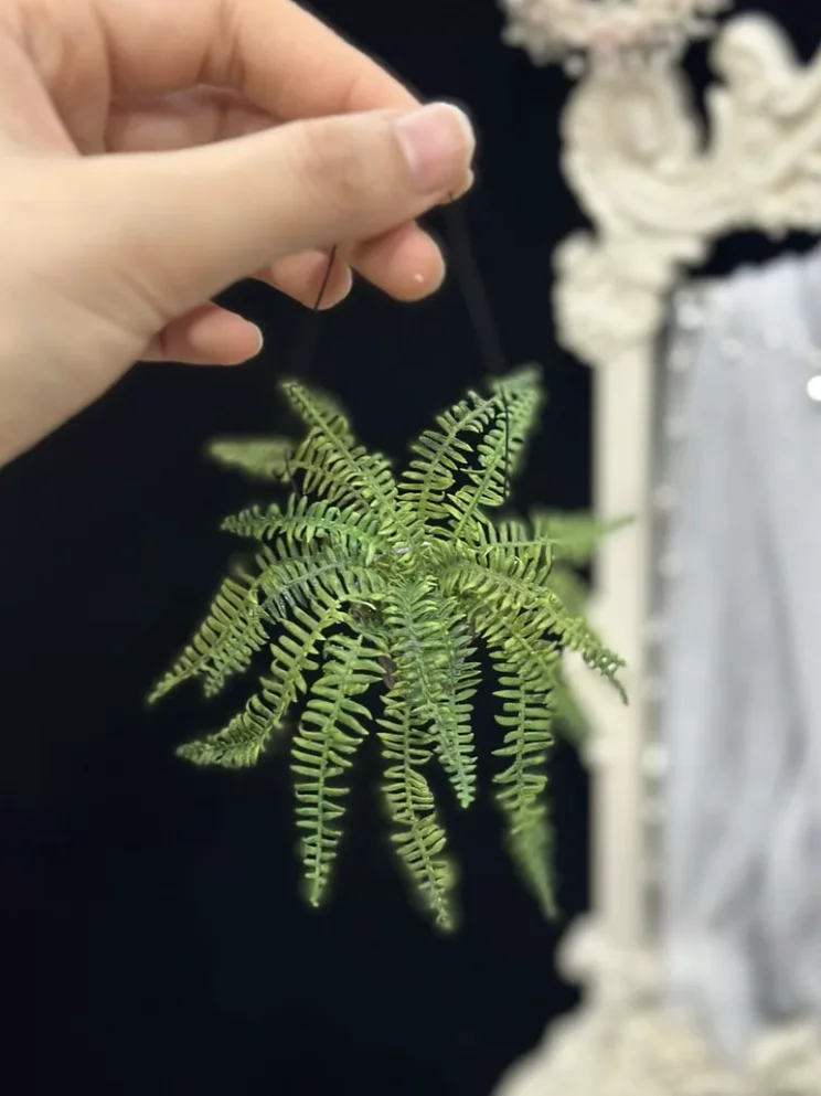 1:6 Miniature Plant Set, Handmade Realistic Fern Maple Caladium Potted,Exclusive Custom Sizes BJD Dollhouse Garden Bjd Decor Art