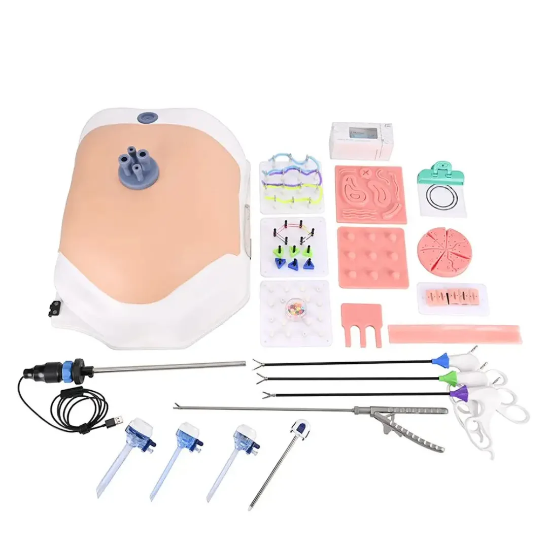 Gynecological Surgery Laparoscopic Surgery Simulation Trainer, Endoscopic Surgery Training Box Emulator Endoscope