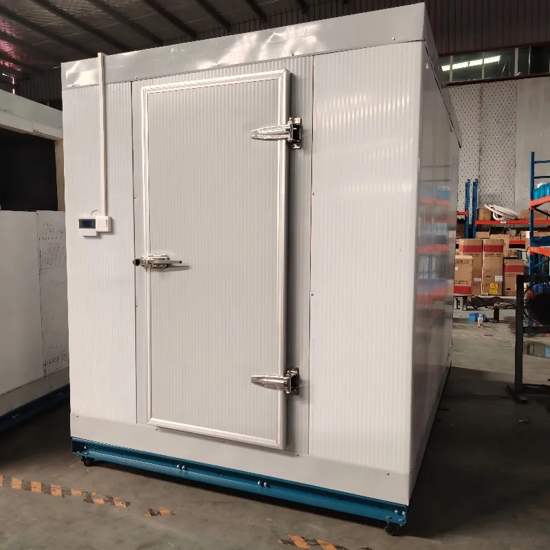 كاميرا تبريد مخصصة للغرفة الباردة للأغذية البحرية لغرفة تبريد الآيس كريم