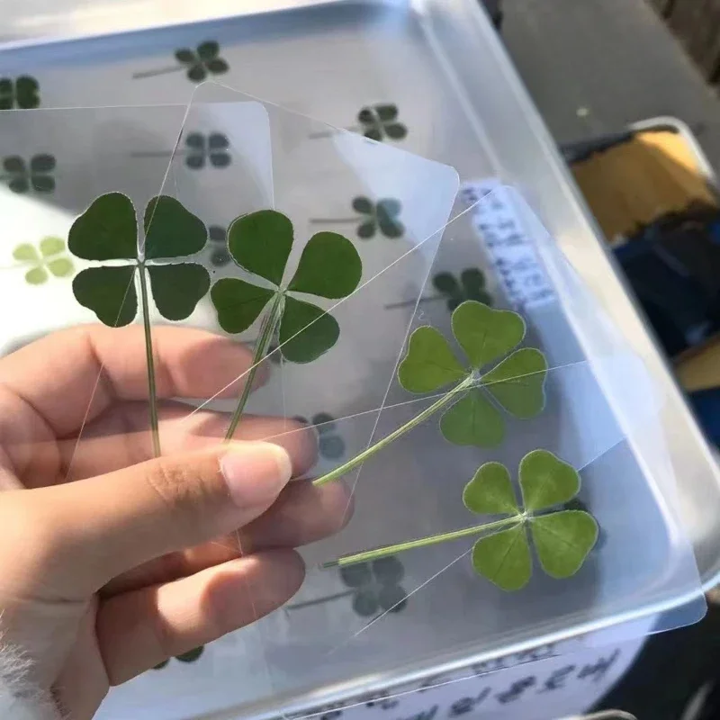 New 1pc Lucky four leaf Clover Postcards Natural Grass Transparent Wishing Cards Wish Healing Fresh Simple Wind Transparent Gift
