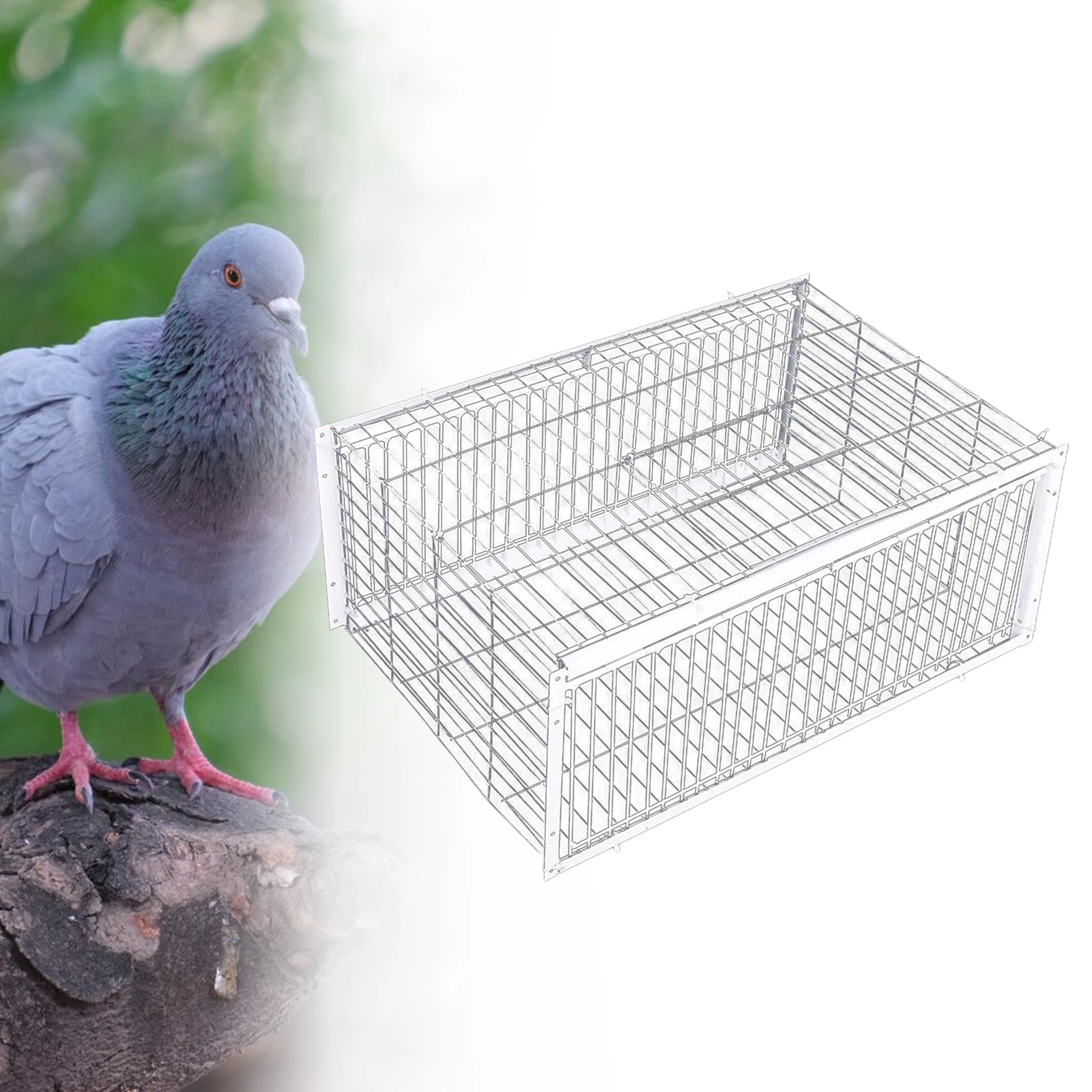 Pigeon Trap Cage Bird Supplies Pigeon Coop Bird Cage for Racing Pigeons Farms Garages Meat Pigeons Gardens 15.75\