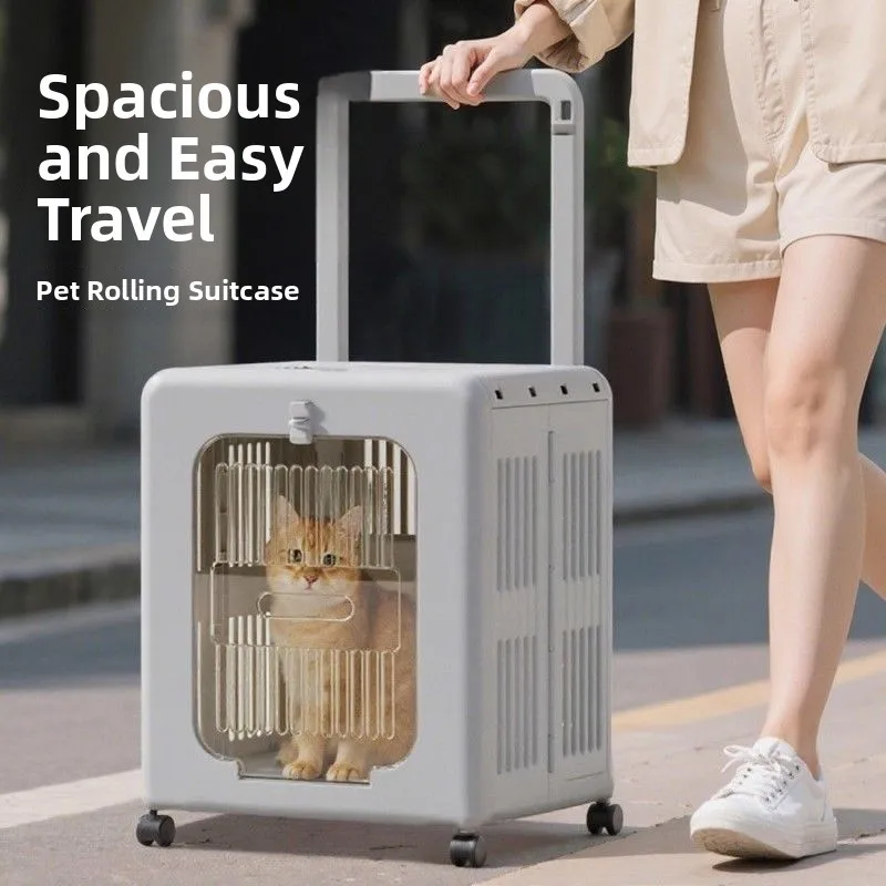 

Портативная сумка с тягой, супер большая емкость для собак, большая коробка, деконструированная коробка для домашних животных, путешествий на открытом воздухе