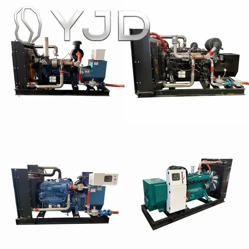 Junwei Superior Quality 6kW Biogas Generator Micro CHP Unit Made in China 400/230V Water Cooled