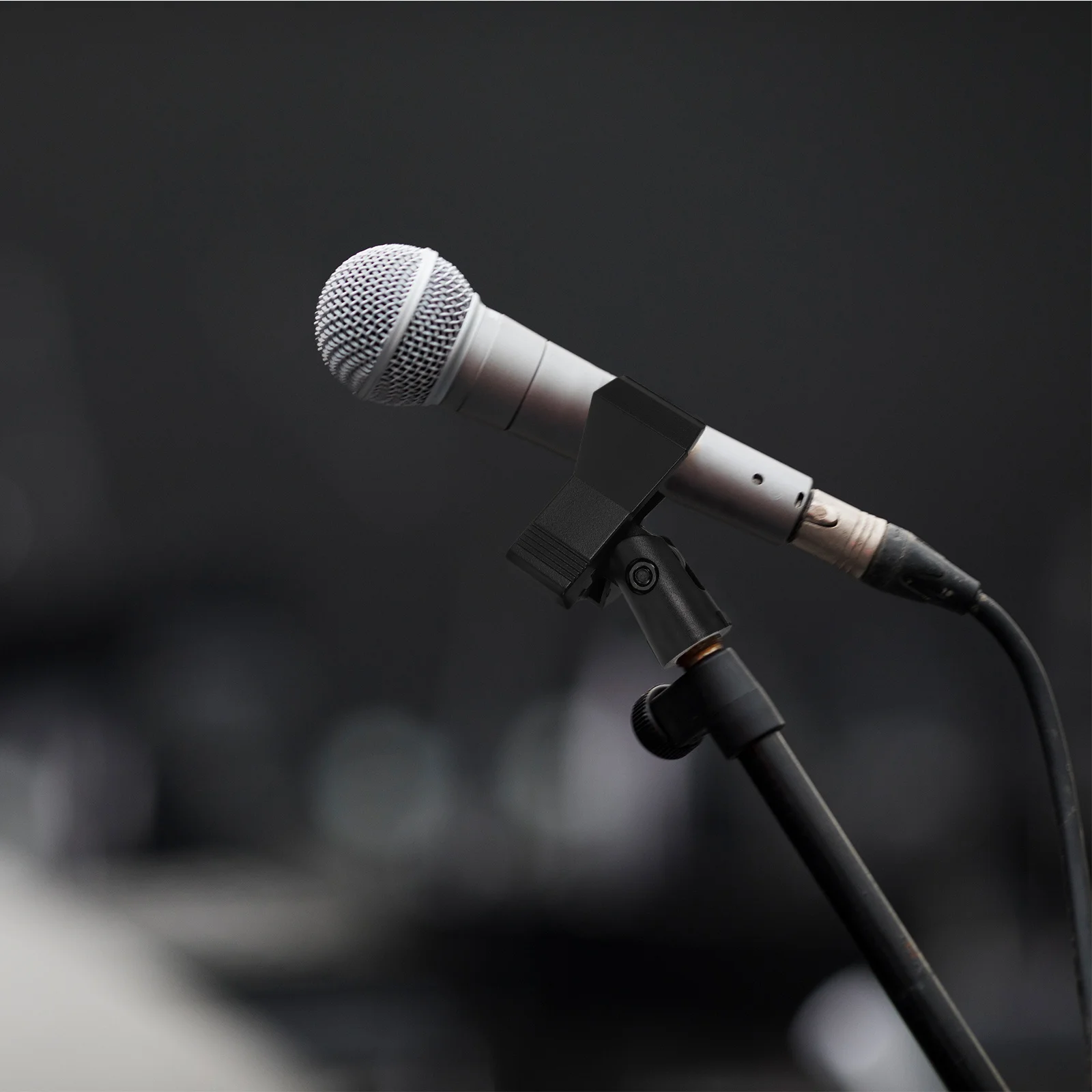 

2Pcs Adjustable Microphone Clip Holder Sturdy Metal Screw Ushaped Spring Design for Stage Recording Broadcasts