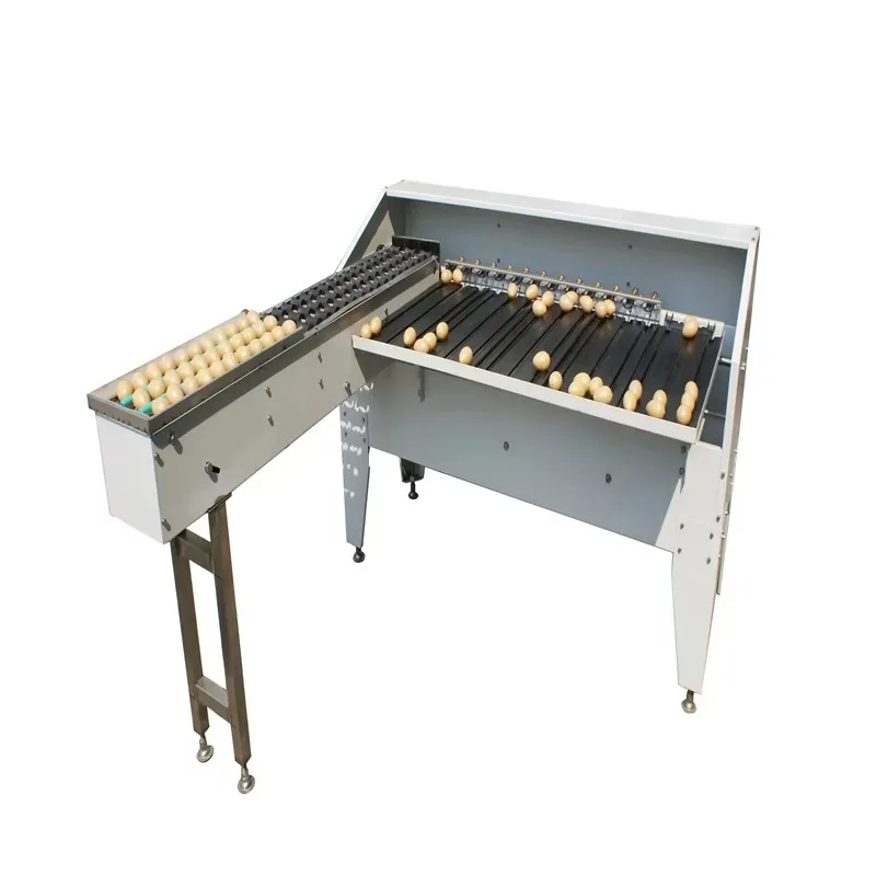 Automatic  Sorting Machine/ Grading Machine/ Processing Machine with Low Price