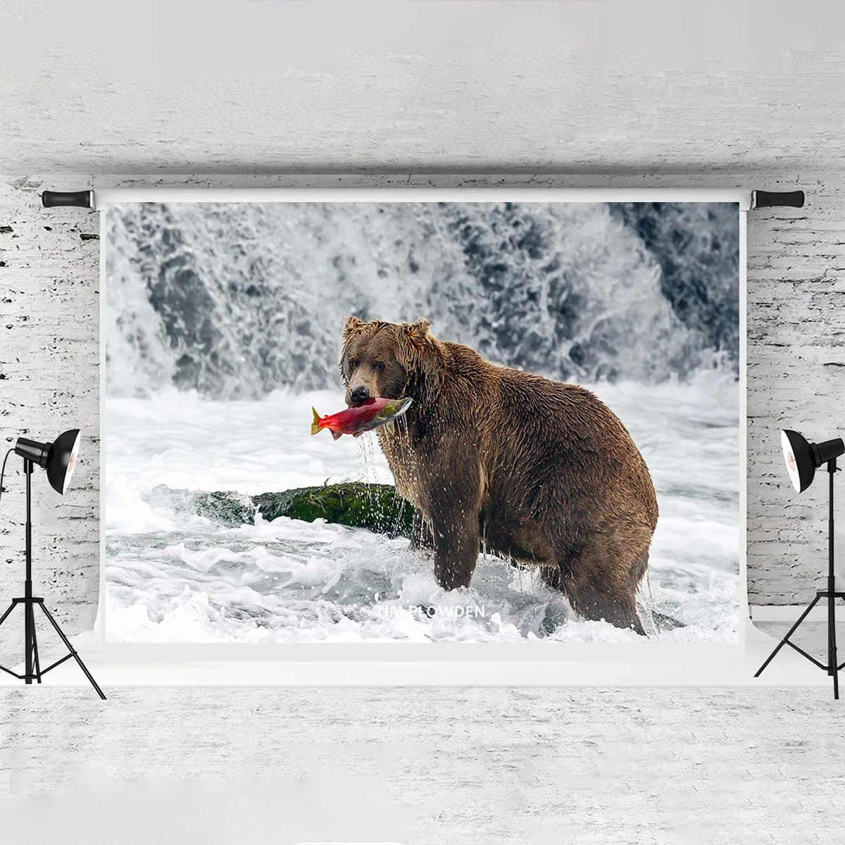 Alaska Animal Bear Salmon River Backdrop Background Cafeteria Wall Living Room Decor Park Party Decoration Exhibition Banner