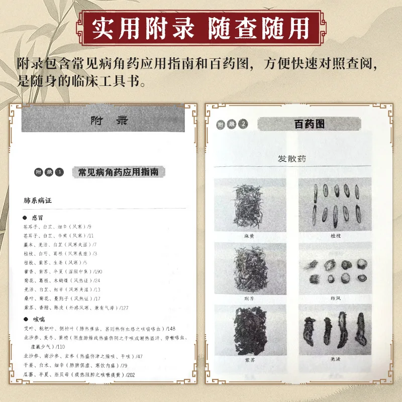 Corner Herbs in TCM: Master Formulation Techniques From Renowned Masters | Classic Herbal Medicine Guide Series