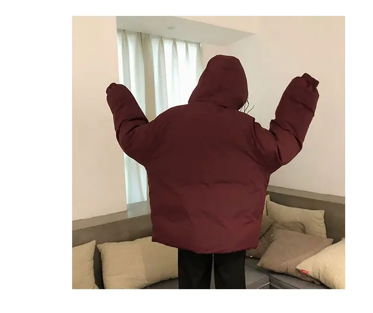 Two-sided Wear Cotton-padded Jacket Korean Winter Coat Women Thickened Parka Hooded Down Cotton Coat Windproof Puffer Jacket New