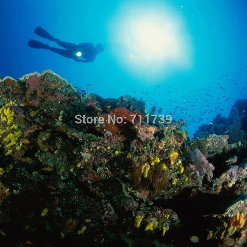 DV57 Professional Diving Flashlight XM-L2 LED Underwater Scuba Searchlight Flash Light 18650 Battery Dive Torch Lantern Lamp