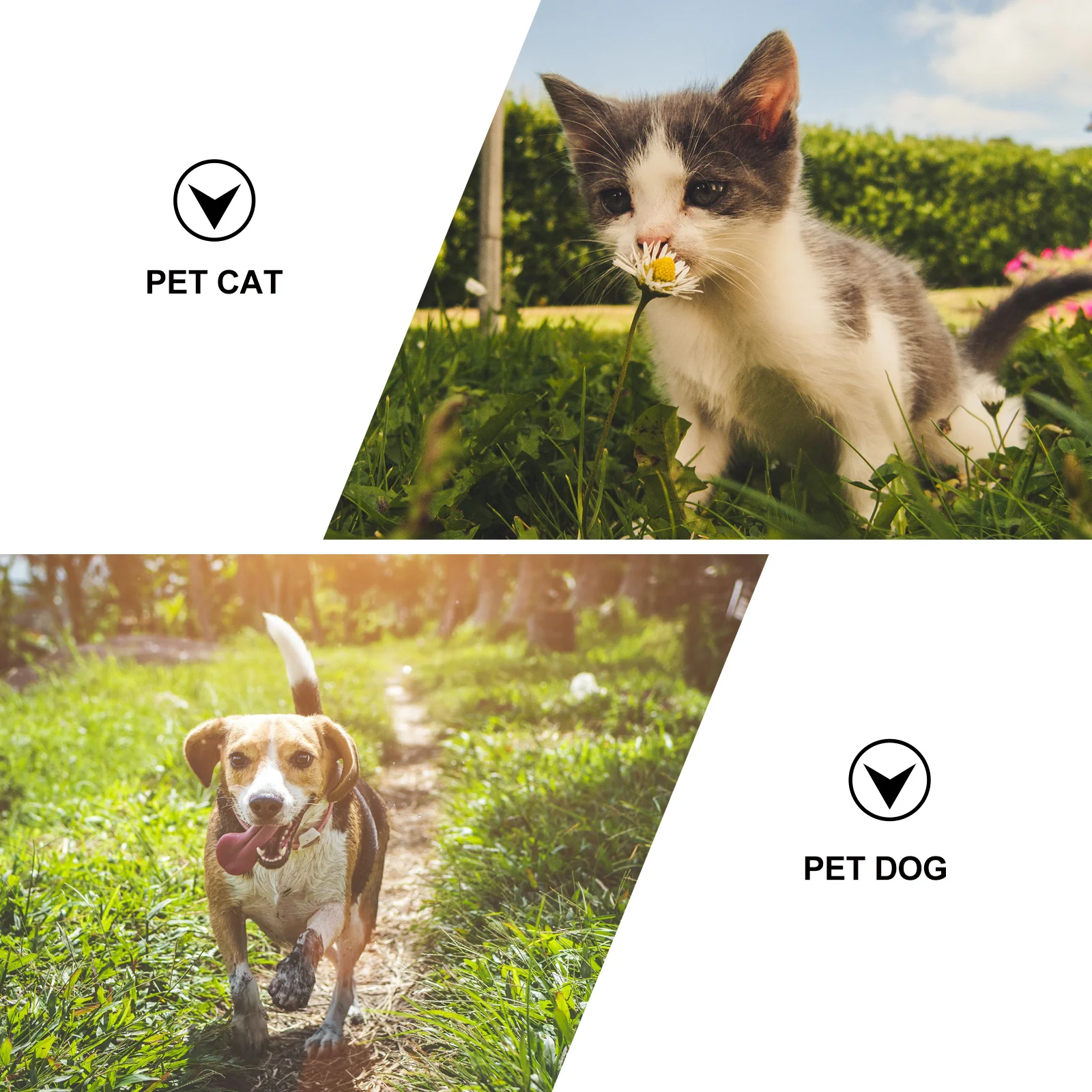 1 قطعة طوق الكلب التتبع كم ملابس مريحة المضادة للسقوط ل الأسود طوق بكلاب التتبع واقية محدد موقع الحيوانات الأليفة