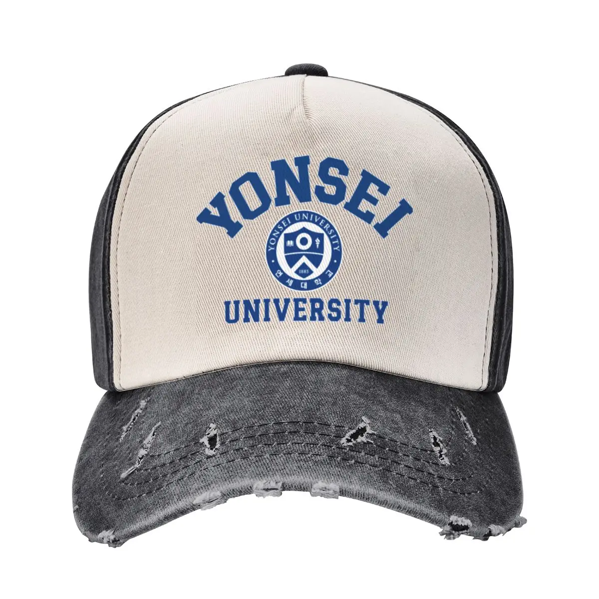 Yonsei University / Unisex Hoodie / K-Pop, K-Drama, K-Fashion, Unique Korean-Inspired Apparel and Merch Baseball Cap