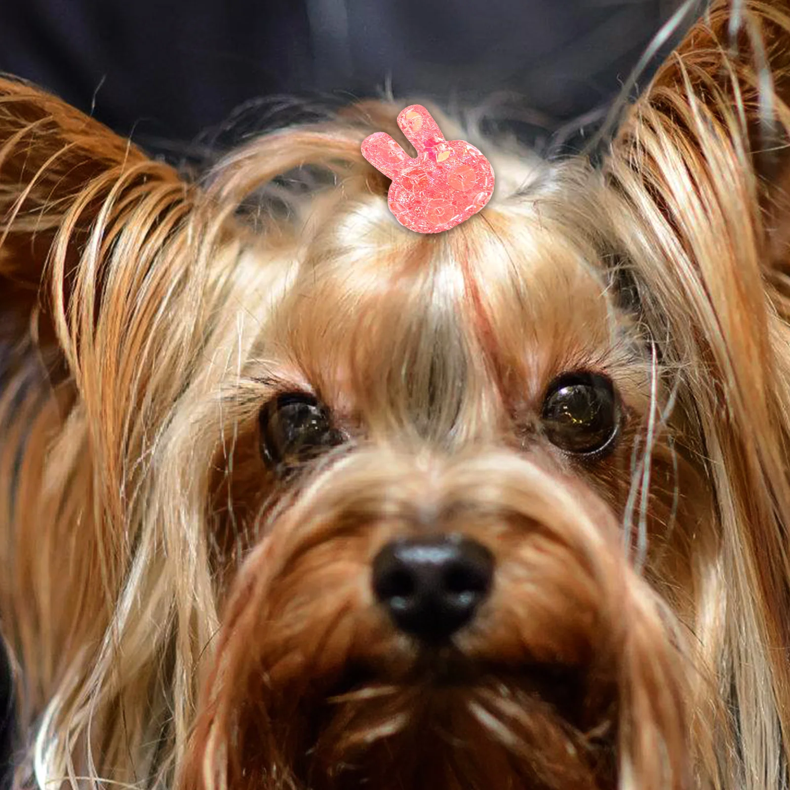 

10Pcs Pet Bunny Hair Accessories Stylish Lightweight Dog Hair Rope for Small Dogs Festival Party Decoration Puppy Grooming Salon