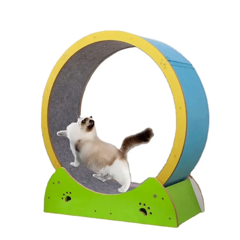 Factory Cheap Price Wholesale Cat Toys Circle Track For Household Interactive Pet Tread Exercise Running Wheel